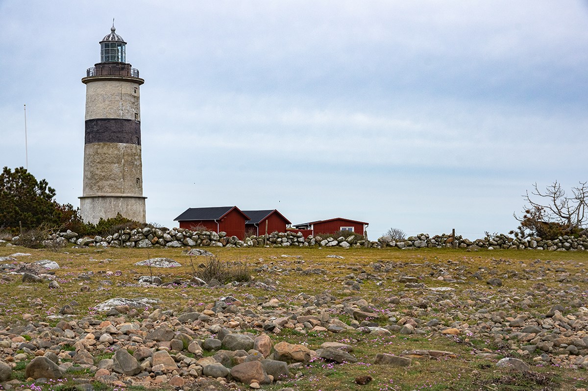 Photo: Dan Thunman Picture of Morups Tånge.