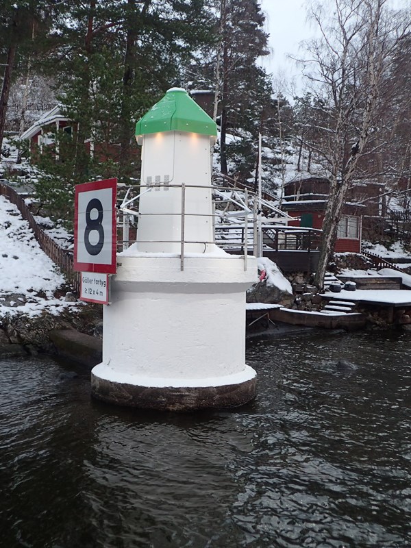 Bild på kummel