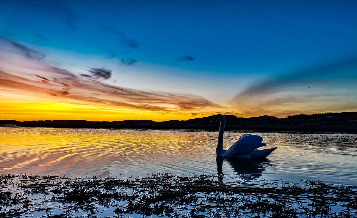 Etisk kod och visslarsystem