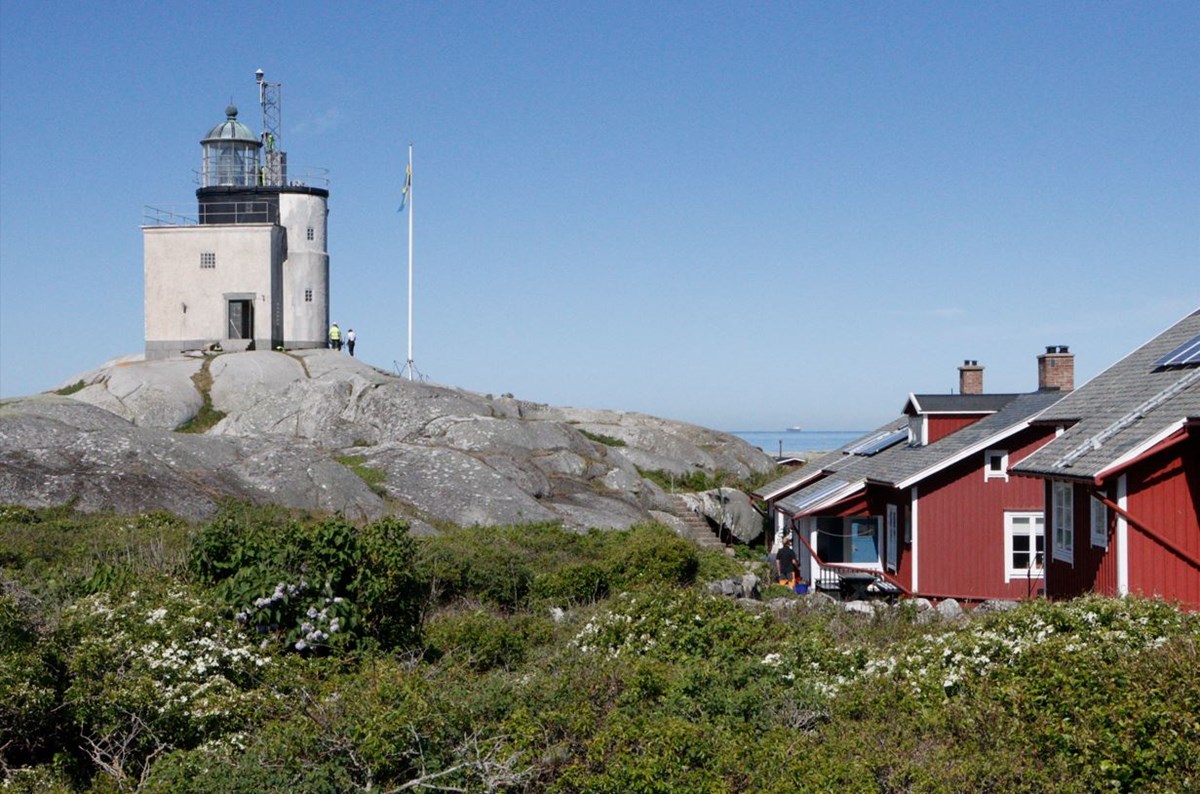 Bild på fyren på Tistlarna med hus i bakgrunden Bild på fyren på Tistlarna med hus i bakgrunden