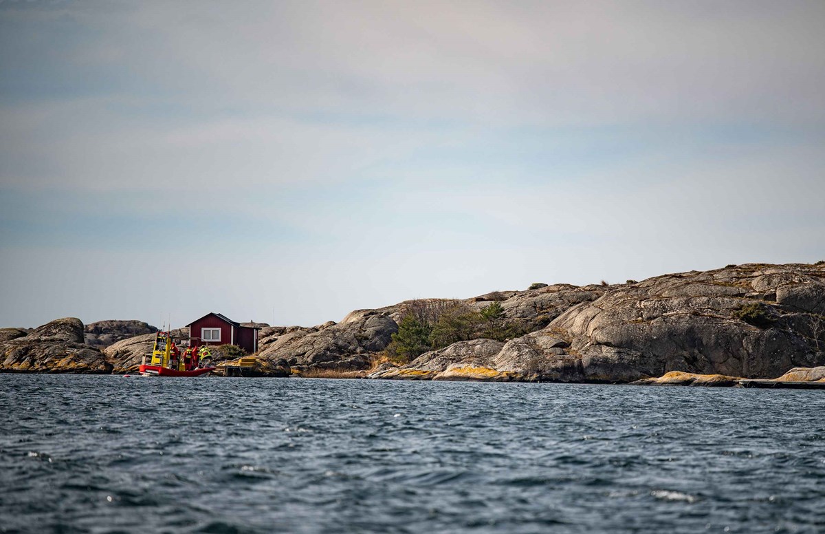 Porträtt på Anton och Alice Porträtt på Anton och Alice